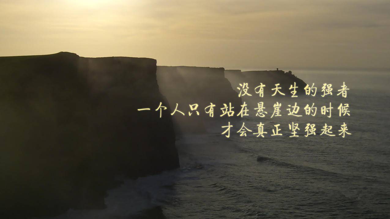 刷空间访客网站低价代